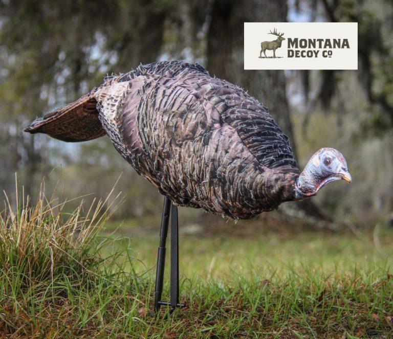 5 Best Turkey Calls for Beginners The PushPull Turkey Call